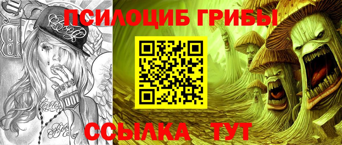 Псилоцибиновые грибы Верхняя Салда